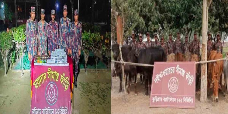 কুড়িগ্রাম সীমান্তে বিজিবি’র অভিযানে ৪৬ লাখ টাকার পণ্য জব্দ 