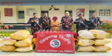 চাঁপাইনবাবগঞ্জ সীমান্তে অভিযানে হলুদ-মরিচের গুড়ার বস্তায় নেশাজাতীয় Eskuf DX সিরাপ জব্দ 