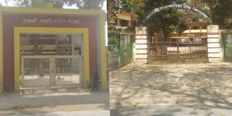 দুই স্কুলের সামনে ঝুঁকিপূর্ণ সড়কে বাড়ছে  দুর্ঘটনা, স্পিড ব্রেকার স্থাপনের দাবি জোরালো