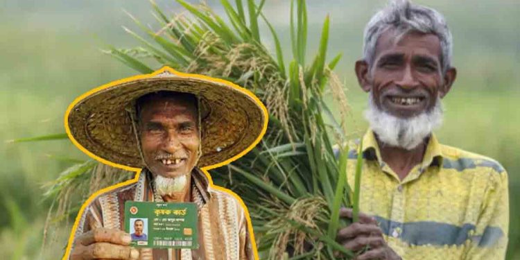 পহেলা বৈশাখ ২২ হাজার কৃষক কার্ড বিতরণ করবে সরকার