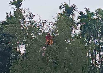 কুড়িগ্রামে নিখোঁজ নারী গাছের ডালে অস্বাভাবিক অবস্থায় উদ্ধার, এলাকায় চাঞ্চল্য