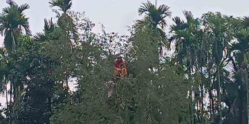 কুড়িগ্রামে নিখোঁজ নারী গাছের ডালে অস্বাভাবিক অবস্থায় উদ্ধার, এলাকায় চাঞ্চল্য