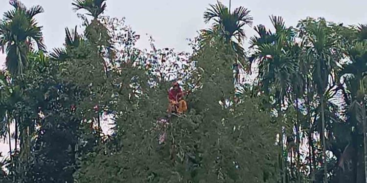কুড়িগ্রামে নিখোঁজ নারী গাছের ডালে অস্বাভাবিক অবস্থায় উদ্ধার, এলাকায় চাঞ্চল্য