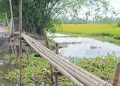 কুড়িগ্রামে ১৯ লাখ টাকার কালভার্টের কাজ বন্ধ ১ বছর, ঠিকাদার উধাও