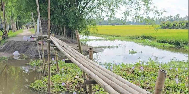 কুড়িগ্রামে ১৯ লাখ টাকার কালভার্টের কাজ বন্ধ ১ বছর, ঠিকাদার উধাও