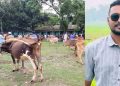 কুড়িগ্রামের চিলমারীতে কলেজের ফটকের তালা ভেঙে পশুর হাট বসালো ছাত্রদল নেতা