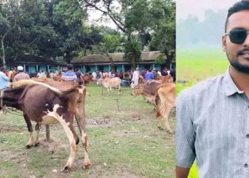 কুড়িগ্রামের চিলমারীতে কলেজের ফটকের তালা ভেঙে পশুর হাট বসালো ছাত্রদল নেতা