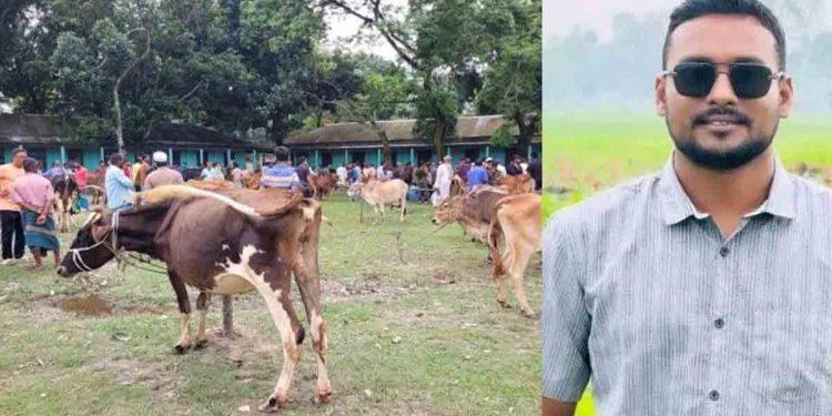 কুড়িগ্রামের চিলমারীতে কলেজের ফটকের তালা ভেঙে পশুর হাট বসালো ছাত্রদল নেতা