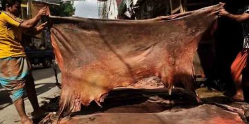 কোরবানির পশুর চামড়ার দাম নির্ধারণ
