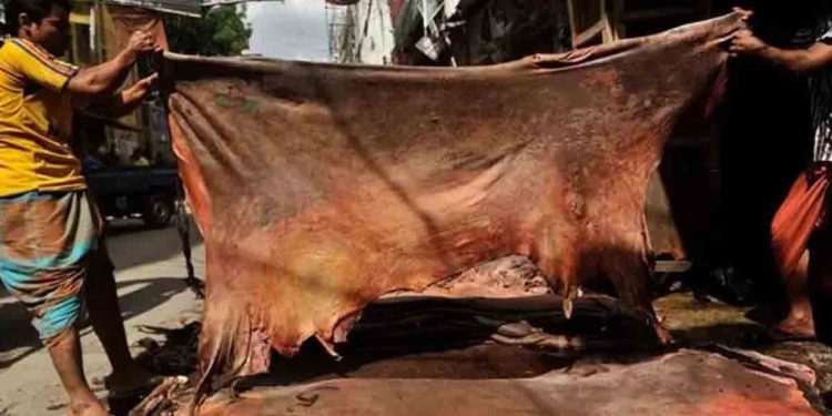 কোরবানির পশুর চামড়ার দাম নির্ধারণ
