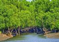 সুন্দরবনে সোমবার থেকে ৩ মাস ঢোকা নিষেধ