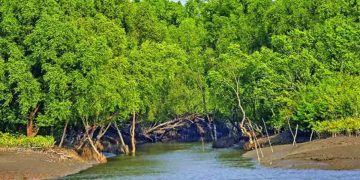 সুন্দরবনে সোমবার থেকে ৩ মাস ঢোকা নিষেধ