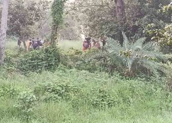 চাঁপাইনবাবগঞ্জ সীমান্তে ২৮ জনকে বিএসএফের পুশইনের চেষ্টা, বিজিবির বাধায় শূন্যরেখায় অবস্থান