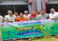 নাচোলে পৌরসভা চত্বরে, বৃক্ষরোপণ কর্মসূচি পালিত 