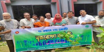 নাচোলে পৌরসভা চত্বরে, বৃক্ষরোপণ কর্মসূচি পালিত 