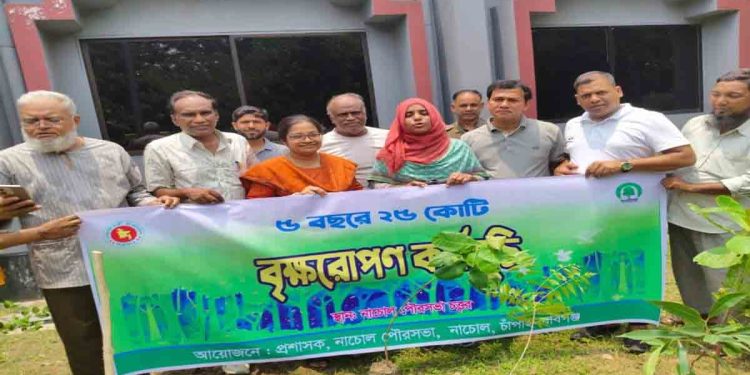 নাচোলে পৌরসভা চত্বরে, বৃক্ষরোপণ কর্মসূচি পালিত 