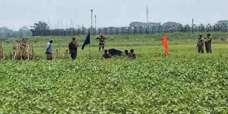 ১২ দিন ধরে সীমান্তের বেড়াজালে আটকে আছে ৩ যুবকের ভাগ্য