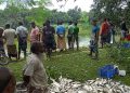 স্বেচ্ছাসেবকদল নেতার পুকুরে রাতের অন্ধকারে বিষ প্রয়োগ, ৭ লাখ টাকার মাছ নিধনের অভিযোগ