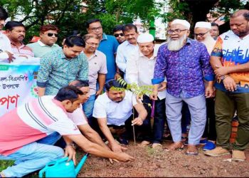 বিএনপির ৪৮তম প্রতিষ্ঠাবার্ষিকী উপলক্ষে রাজশাহীতে বৃক্ষরোপণ কর্মসূচি
