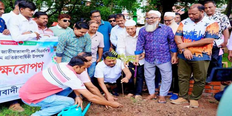 বিএনপির ৪৮তম প্রতিষ্ঠাবার্ষিকী উপলক্ষে রাজশাহীতে বৃক্ষরোপণ কর্মসূচি