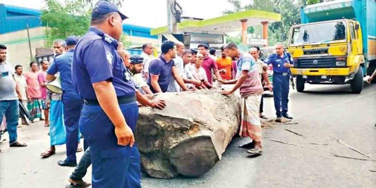 সারের দাবিতে কুড়িগ্রামের ৩ ইউনিয়নে কৃষকের বিক্ষোভ ও সড়ক অবরোধ