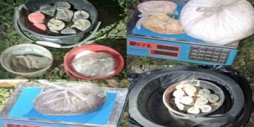 চাঁপাইনবাবগঞ্জে ১০টি ককটেল ও বিপুল পরিমাণ বিস্ফোরক পাউডার জব্দ