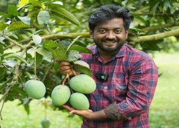 ম্যাঙ্গো লাভার কার্যালয়ে তরুণীকে ধর্ষণচেষ্টার মামলা, উদ্যোক্তা মুরাদ কারাগারে