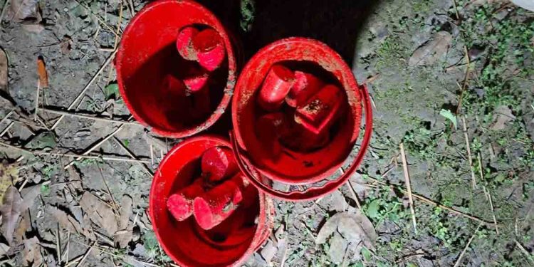 চাঁপাইনবাবগঞ্জে লেবু বাগান থেকে পরিত্যক্ত অবস্থায় ১৭টি ককটেল উদ্ধার